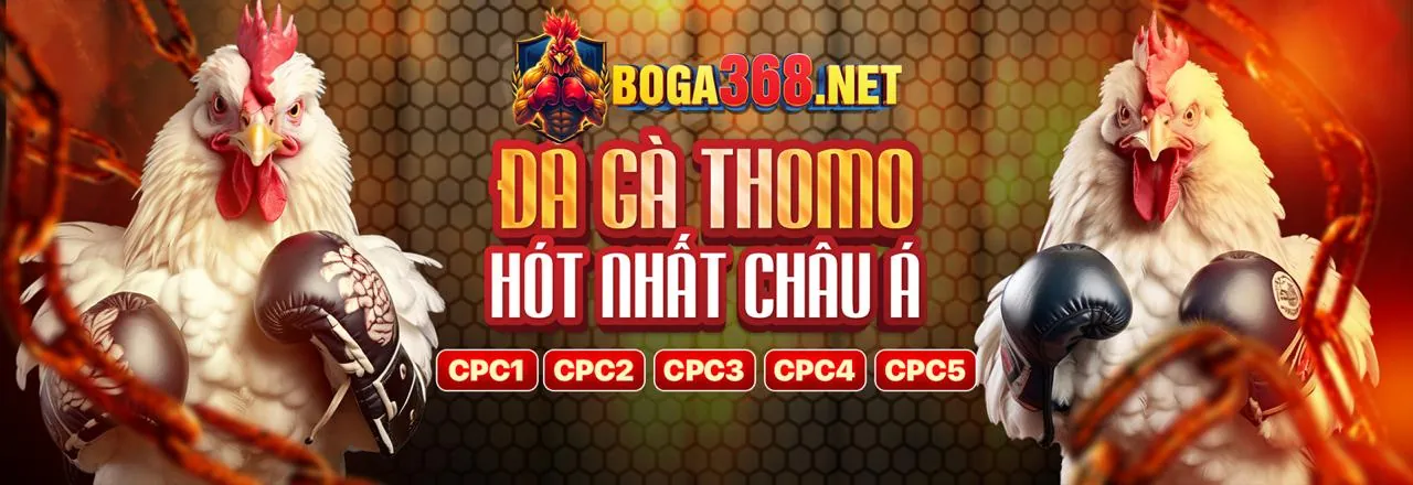 Đá gà trực tuyến bj38 nổ hũ